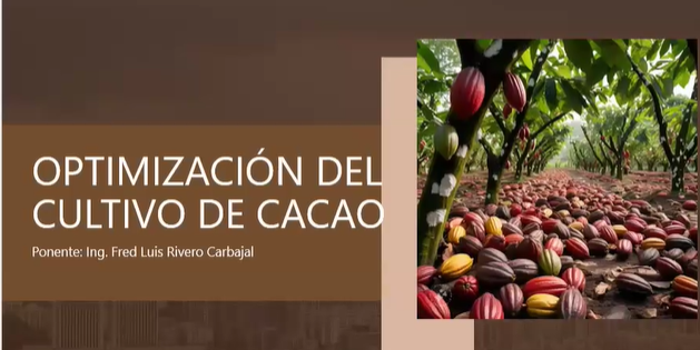 Optimización del Cultivo de Cacao